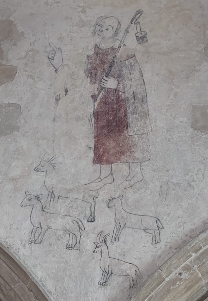 15th century wallpainting of old shepherd with sheep and goats; part of the Nativity story